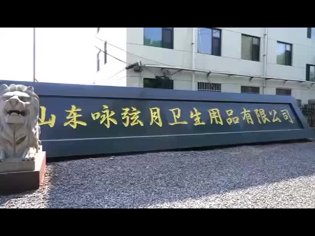 Shouguang Jinhuisheng Non-Woven Co., Ltd