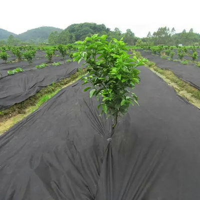 Garden Woven Agricultural Landscape Fabric Windproof Multipurpose