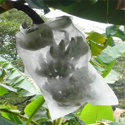 Anti UV Fruit Tree Protection Bags , Spunbond Nonwoven Bags To Cover Fruit On Trees