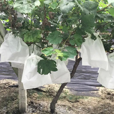 Anti UV Fruit Tree Protection Bags , Spunbond Nonwoven Bags To Cover Fruit On Trees