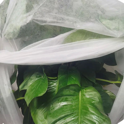Nontoxic Crop Protection Cover Durable , Biodegradable Garden Fleece For Plants