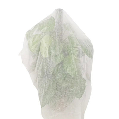 Nontoxic Crop Protection Cover Durable , Biodegradable Garden Fleece For Plants