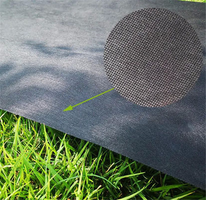 80gsm Black Weed Control Fabric Multipurpose For Plant Protection