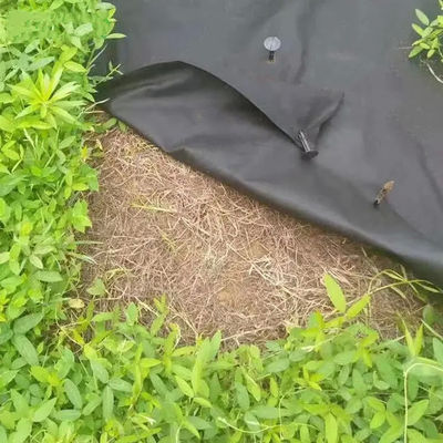 Practical Weed Control Membrane 60gsm , Biodegradable PP Woven Ground Cover
