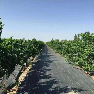 Waterproof Polypropylene Woven Ground Cover Rolls Nontoxic 2x20m