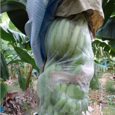 Agriculture Plant Protection Bag PP Nonwoven Spunbond Fabric Degradable