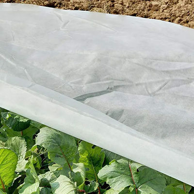 Width 3.2m Frost Protection Fleece Fabric Multipurpose Practical