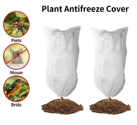 Windproof Winter Tree Cover Bag Durable , Anti Freeze Frost Bags For Trees