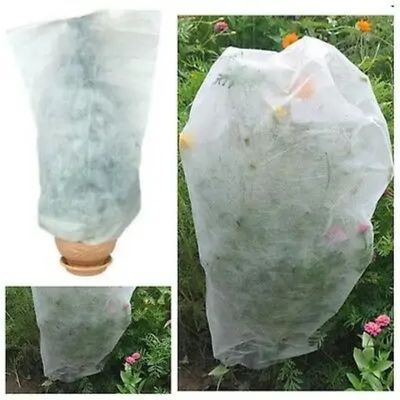 Windproof Winter Tree Cover Bag Durable , Anti Freeze Frost Bags For Trees