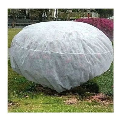 Windproof Winter Tree Cover Bag Durable , Anti Freeze Frost Bags For Trees
