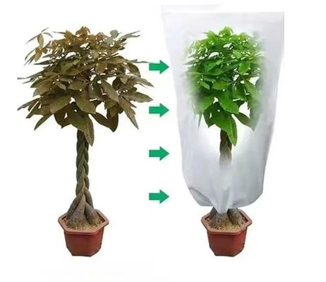 Windproof Winter Tree Cover Bag Durable , Anti Freeze Frost Bags For Trees