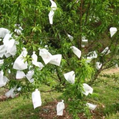 Garden Plant Protection Bag Polypropylene Non Woven Fabric Breathable