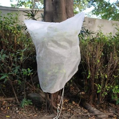 Anti Pull Plant Protection Covers Waterproof , Multipurpose Plant Fleece Bags