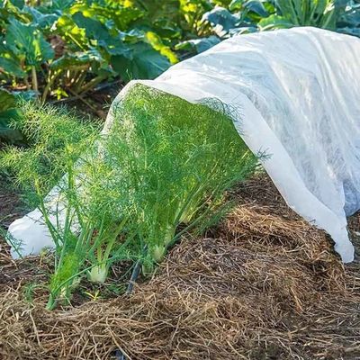 0.7x0.8m Frost Plant Protection Bag Anti Static Nontoxic Eco Friendly