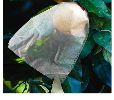 Durable Fruit Plant Protection Bag Nonwoven Biodegradable Fabric