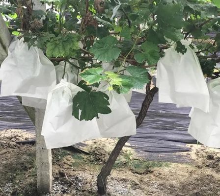 Multiscene Fleece Plant Bags Breathable Tear Resistant For Wrapping Fruit