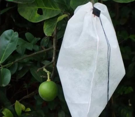 Multiscene Fleece Plant Bags Breathable Tear Resistant For Wrapping Fruit