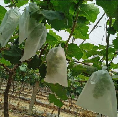Waterproof Plant Protection Bag To Protect Grapes Vegetable Practical