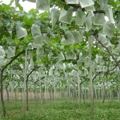 Waterproof Plant Protection Bag To Protect Grapes Vegetable Practical