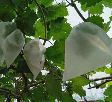Waterproof Plant Protection Bag To Protect Grapes Vegetable Practical