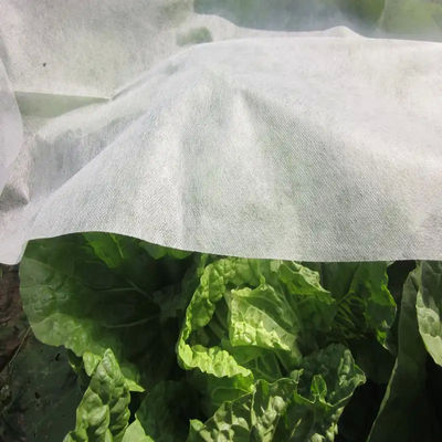 Width 3.2m Frost Protection Fleece Fabric Multipurpose Practical
