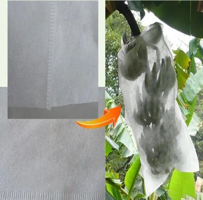Anti UV Plant Protection Bag Windproof PP Non Woven Fabric For Banana