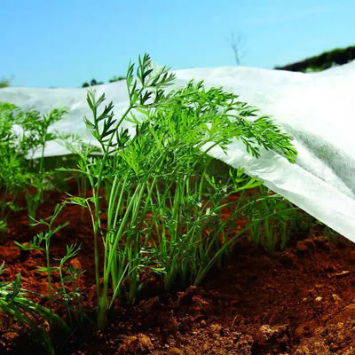 Durable Frost Protection Fleece Mothproof , Agriculture Winter Row Cover