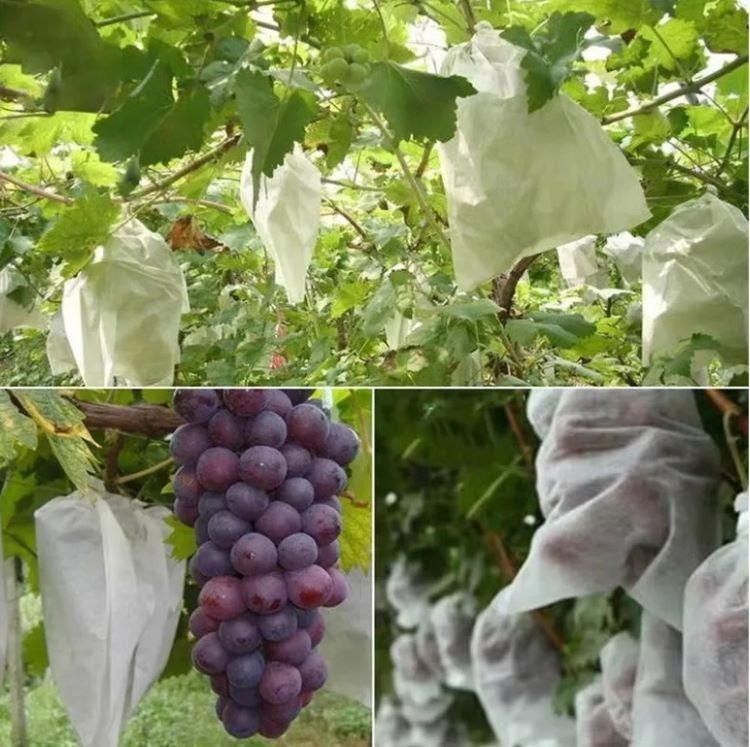 Waterproof Plant Protection Bag To Protect Grapes Vegetable Practical